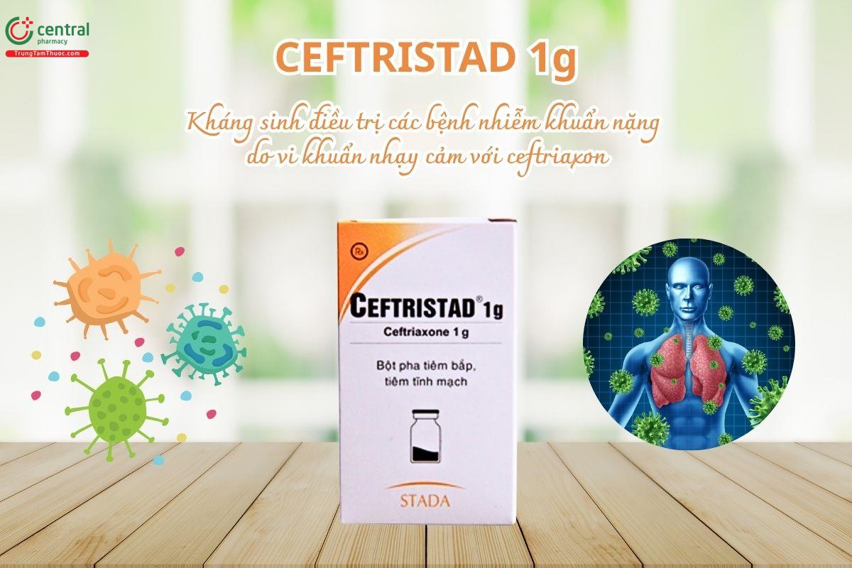 Thuốc Ceftristad 1g điều trị các bệnh nhiễm khuẩn nặng do vi khuẩn nhạy cảm với ceftriaxon
