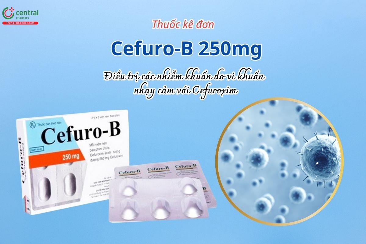 Thuốc Cefuro-B 250mg điều trị các nhiễm khuẩn do vi khuẩn nhạy cảm với Cefuroxim
