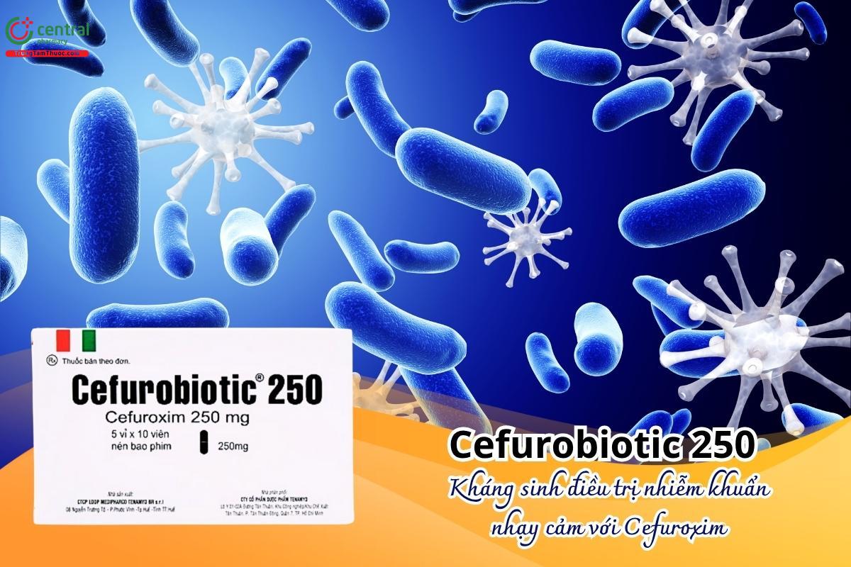 Thuốc Cefurobiotic 250 mg - Điều trị nhiễm khuẩn do vi khuẩn nhạy cảm với Cefuroxim