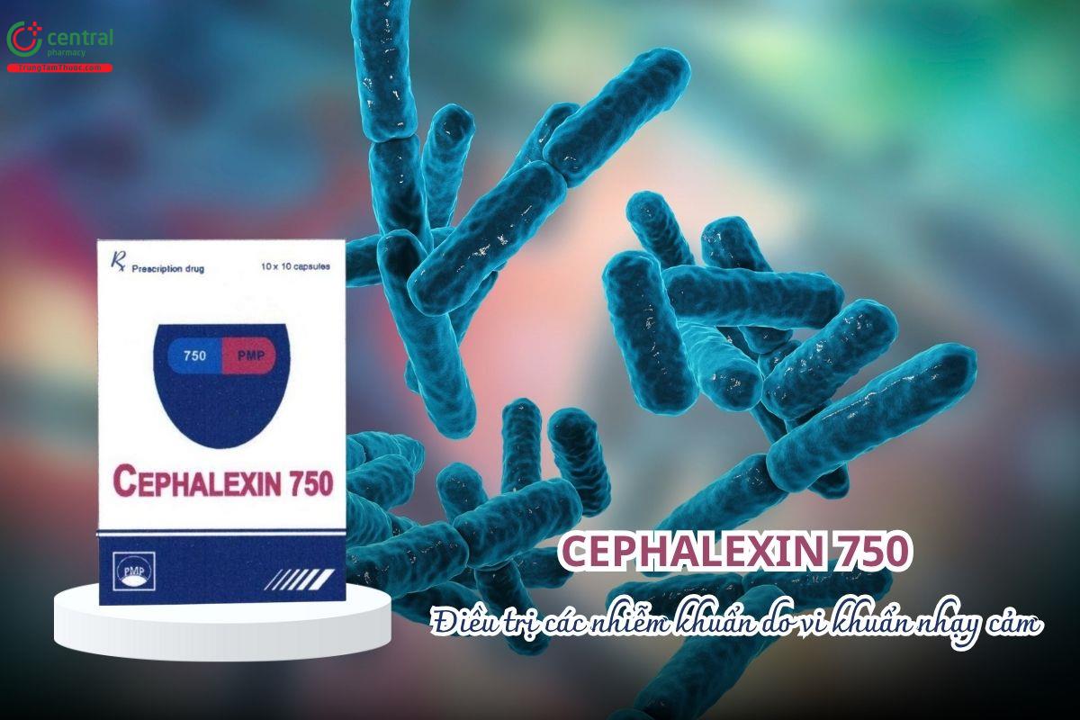 Thuốc Cephalexin 750mg Pymepharco điều trị các nhiễm khuẩn do vi khuẩn nhạy cảm