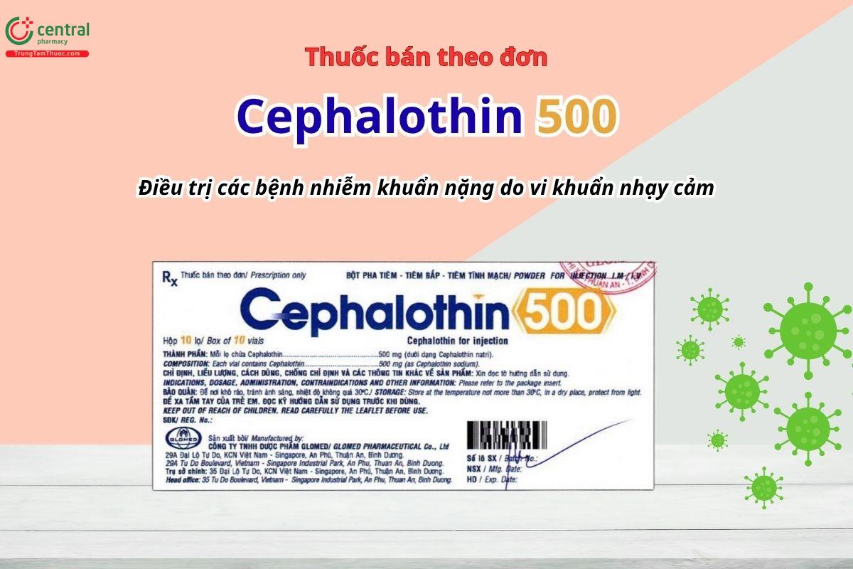 Thuốc Cephalothin 500mg Glomed điều trị các bệnh nhiễm khuẩn nặng do vi khuẩn nhạy cảm