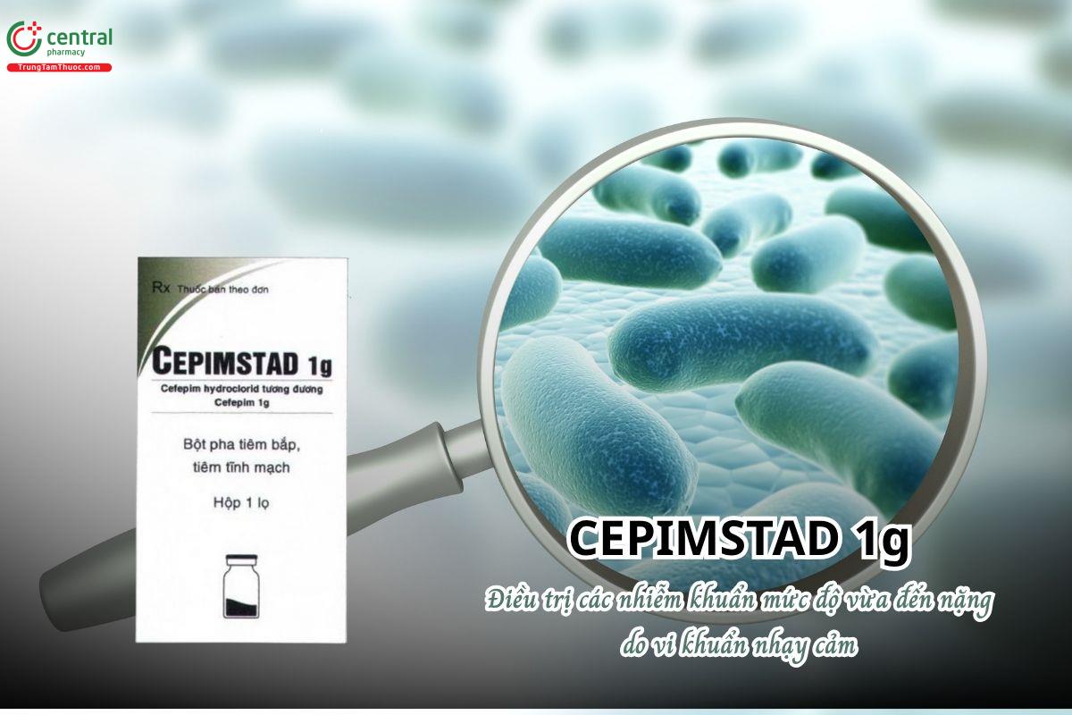 Thuốc Cepimstad 1g điều trị các nhiễm khuẩn mức độ vừa đến nặng do vi khuẩn nhạy cảm