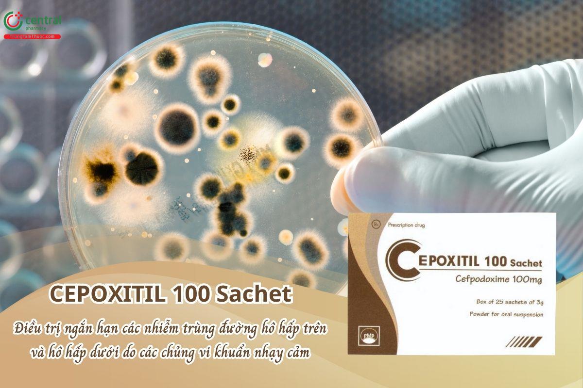 Thuốc Cepoxitil 100 Sachet điều trị ngắn hạn các nhiễm khuẩn do vi khuẩn nhạy cảm