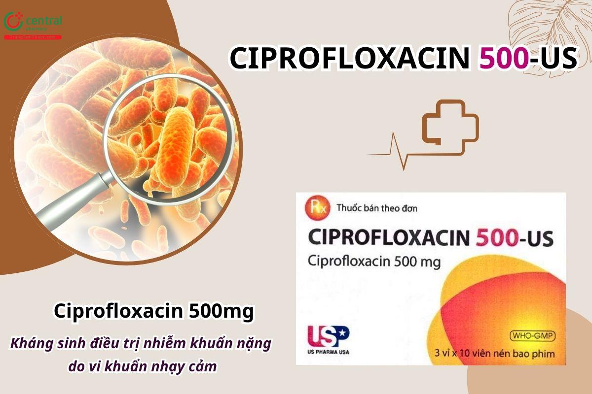 Thuốc Ciprofloxacin 500-US điều trị các trường hợp nhiễm khuẩn nặng do vi khuẩn nhạy cảm
