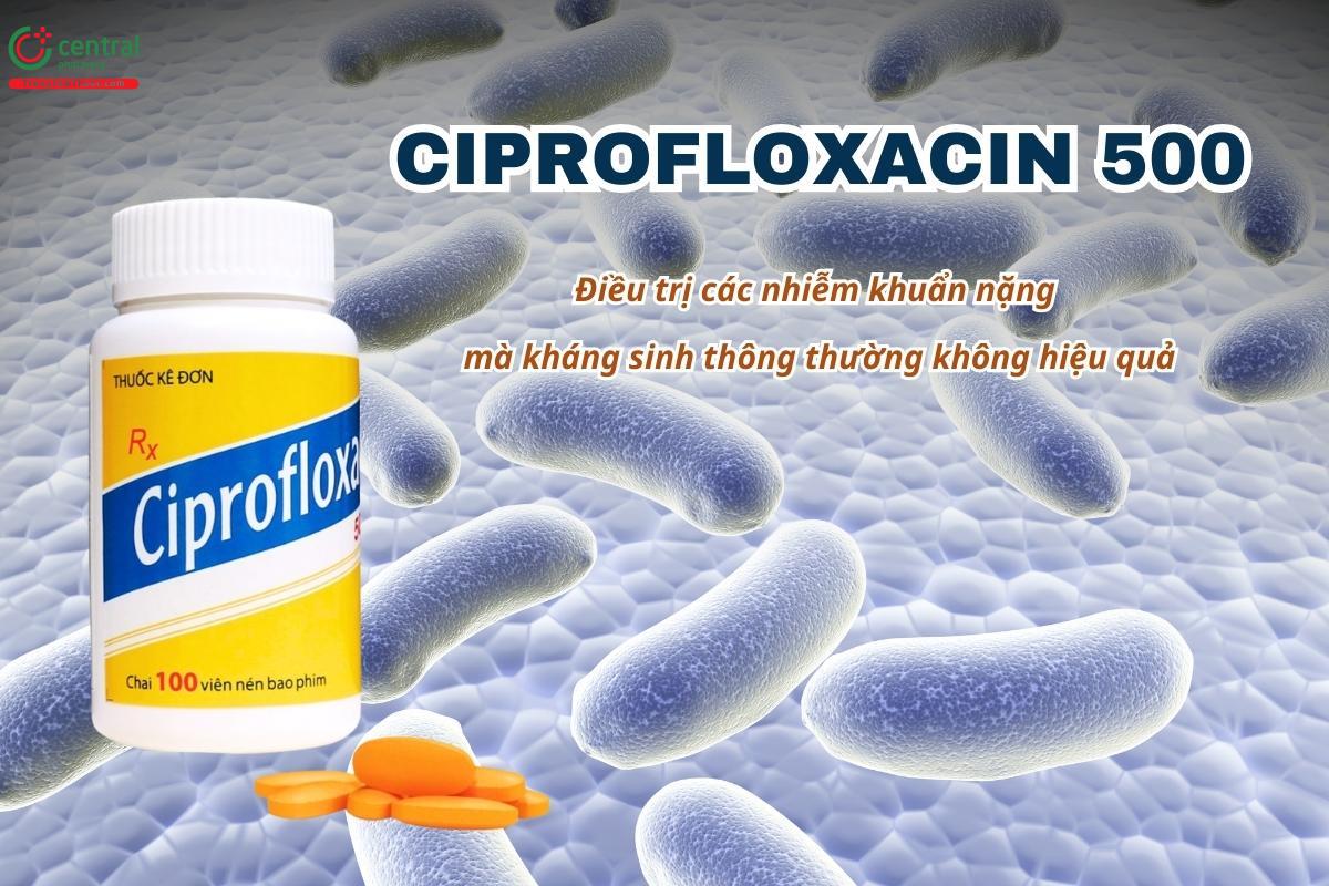 Thuốc Ciprofloxacin 500mg Domesco điều trị các nhiễm khuẩn nặng mà kháng sinh thông thường không hiệu quả