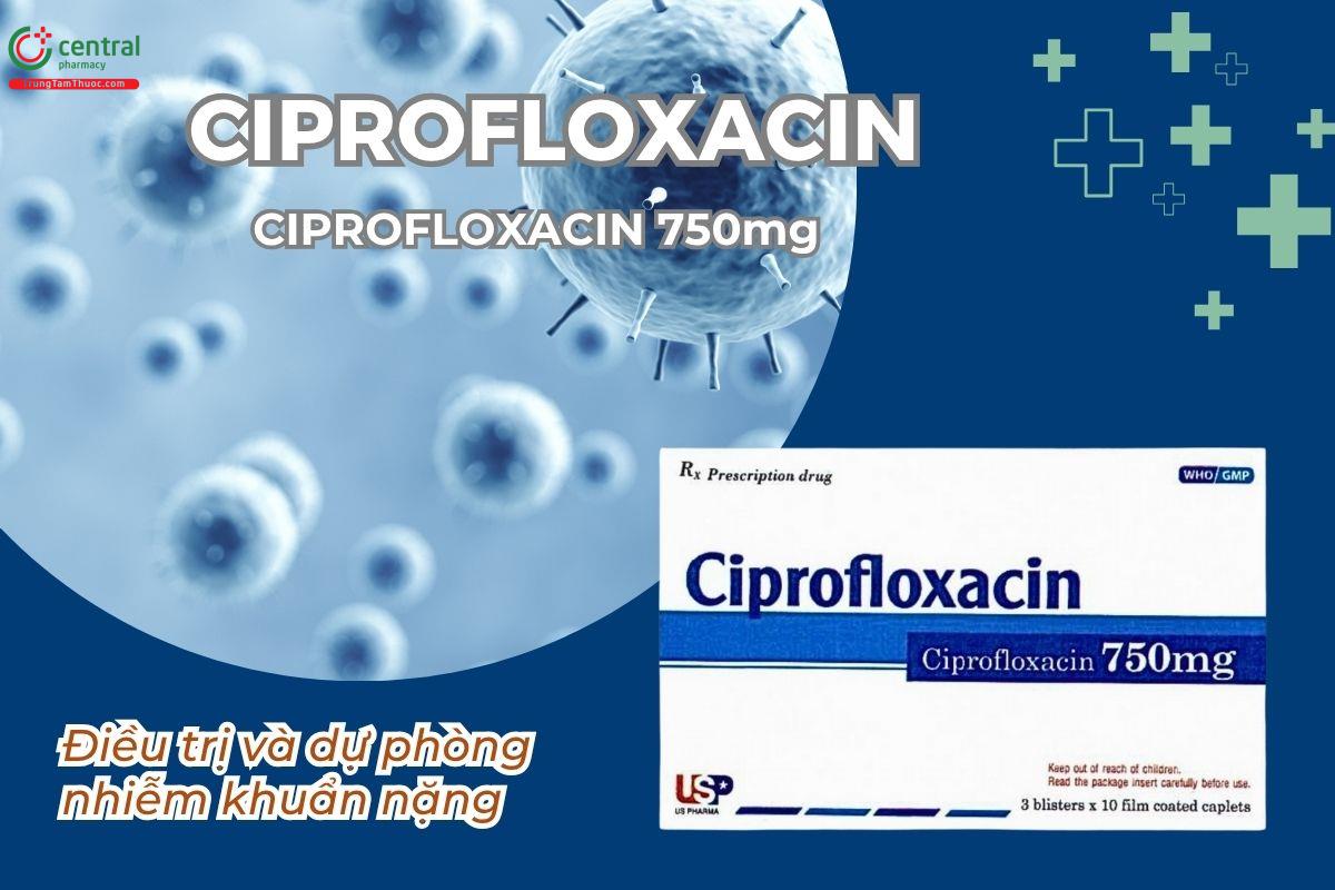 Thuốc Ciprofloxacin 750mg US pharma USA - Điều trị và dự phòng các nhiễm khuẩn nặng
