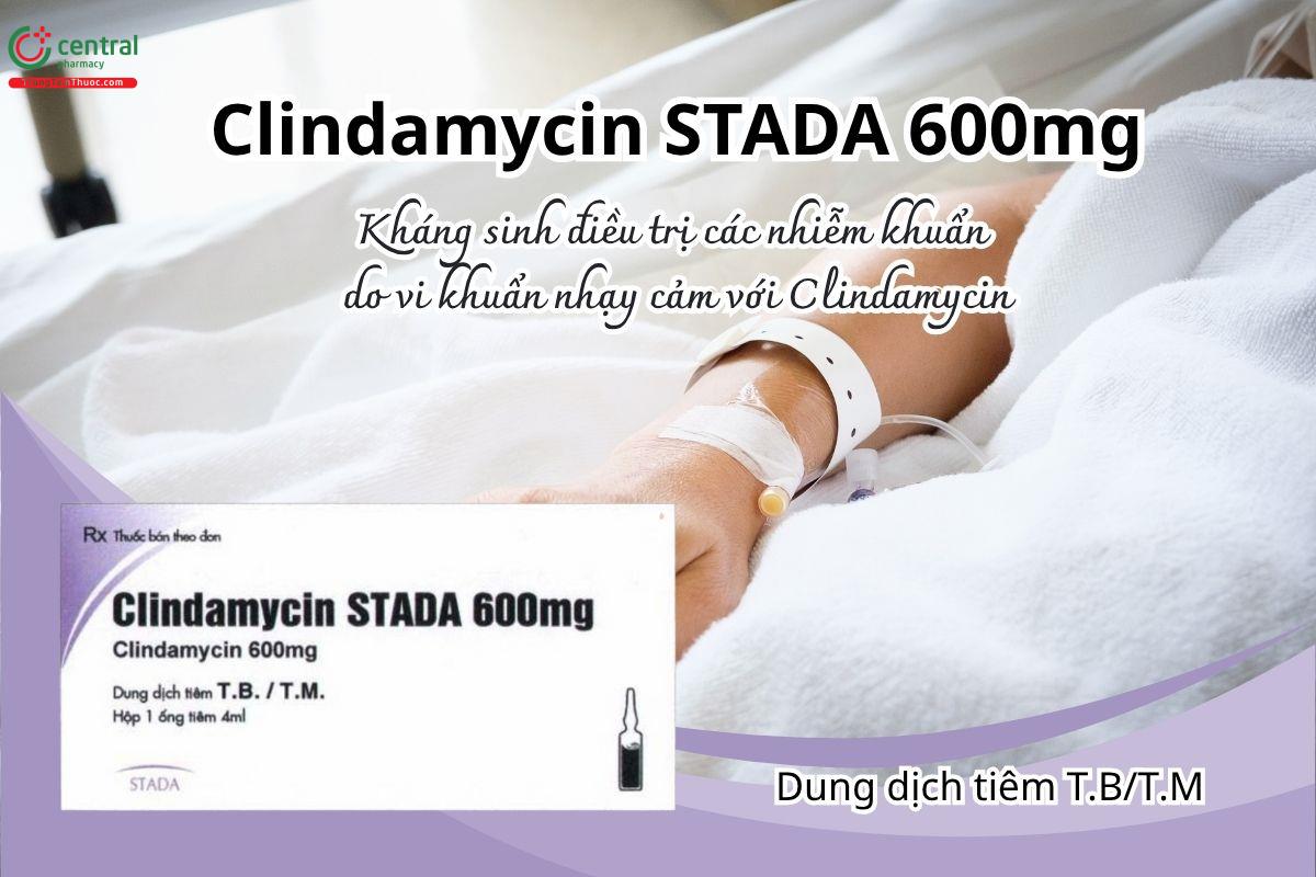 Thuốc Clindamycin Stada 600mg điều trị các nhiễm khuẩn do vi khuẩn nhạy cảm với Clindamycin