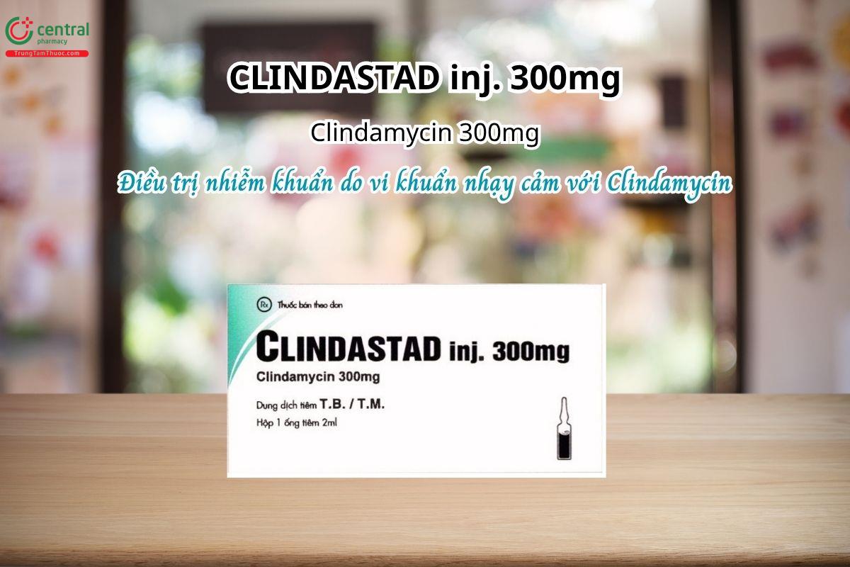 Thuốc Clindastad inj. 300mg điều trị nhiễm khuẩn do vi khuẩn nhạy cảm với Clindamycin
