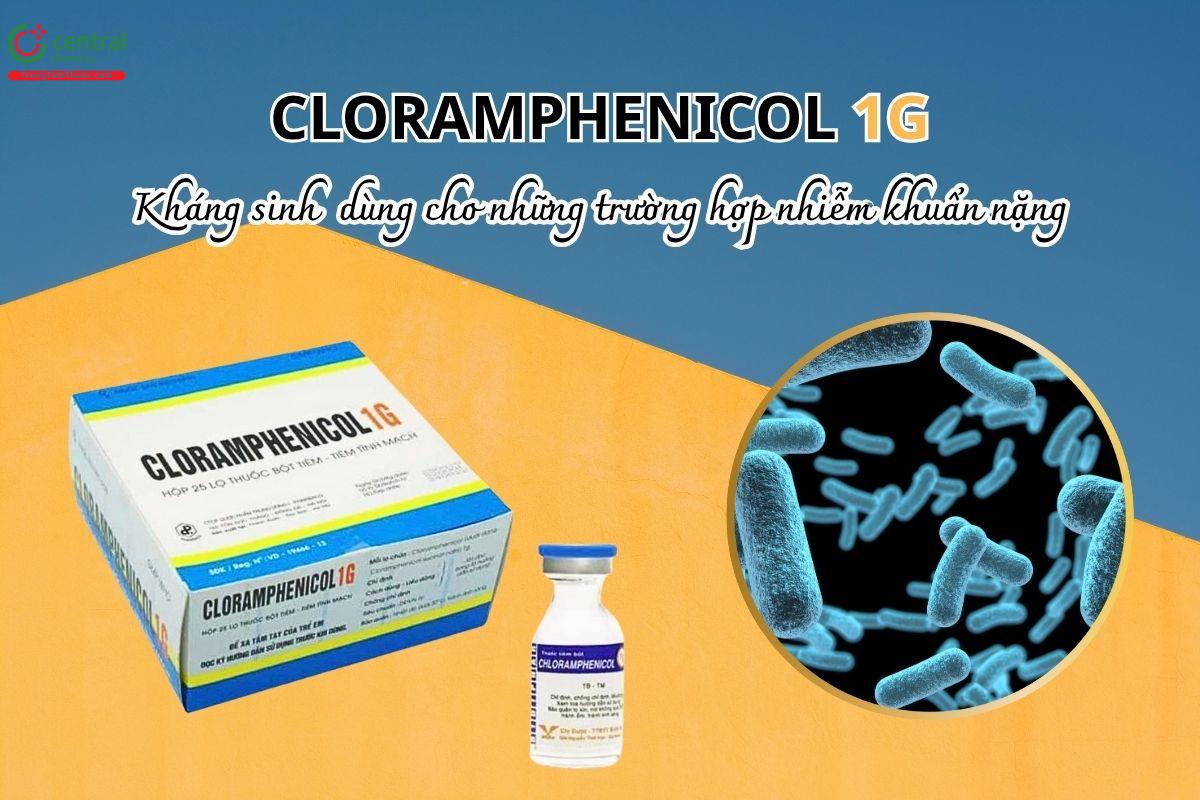 Thuốc Cloramphenicol 1g Pharbaco điều trị nhiễm khuẩn nặng