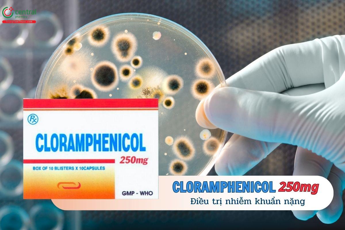 Thuốc Cloramphenicol 250mg Quapharco giúp điều trị nhiễm khuẩn nặng do vi khuẩn nhạy cảm
