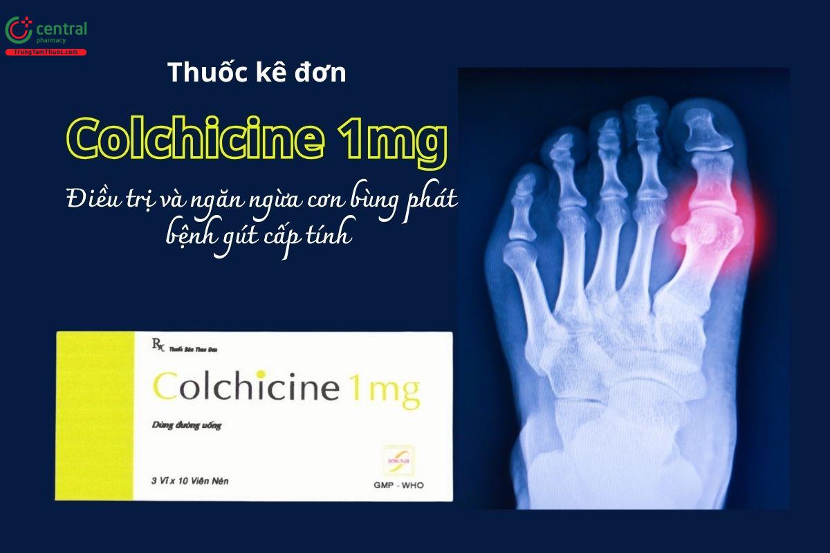 Thuốc Colchicin 1mg Dong Nam Pharma - Điều trị và ngăn ngừa cơn bùng phát bệnh gút cấp tính