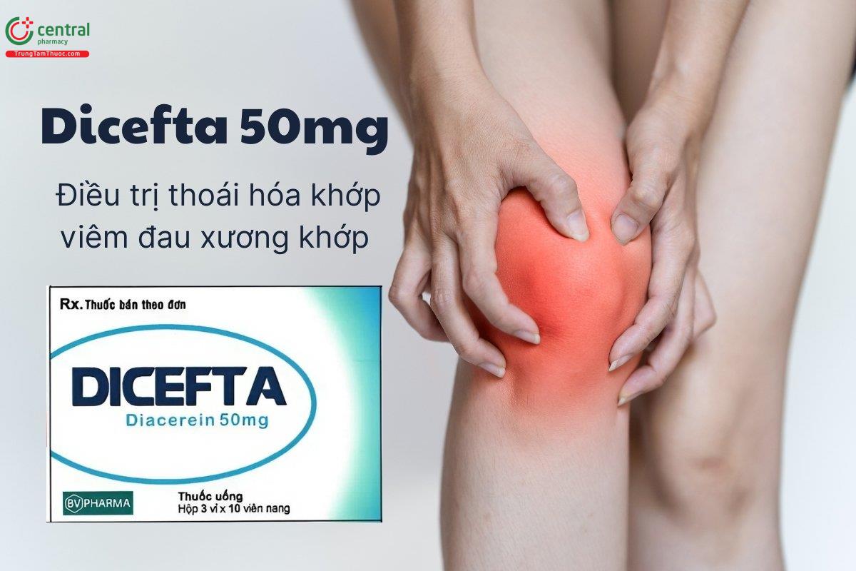 Thuốc Dicefta 50mg điều trị thoái hóa khớp và viêm đau xương khớp