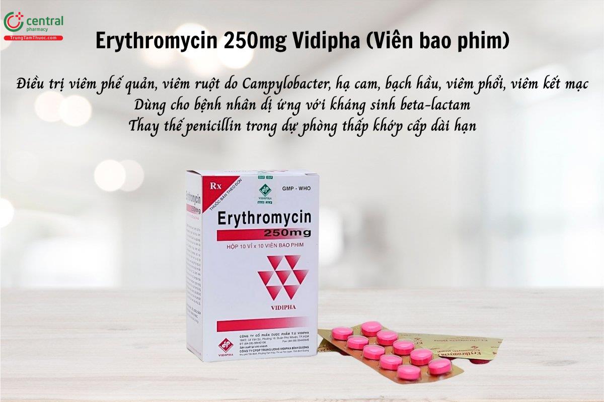 Thuốc Erythromycin 250mg Vidipha (Viên bao phim)