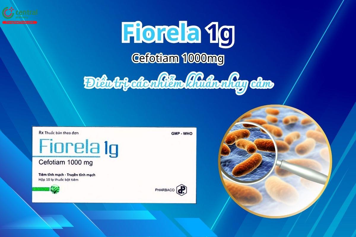 Thuốc Fiorela 1g - Điều trị các nhiễm khuẩn nhạy cảm