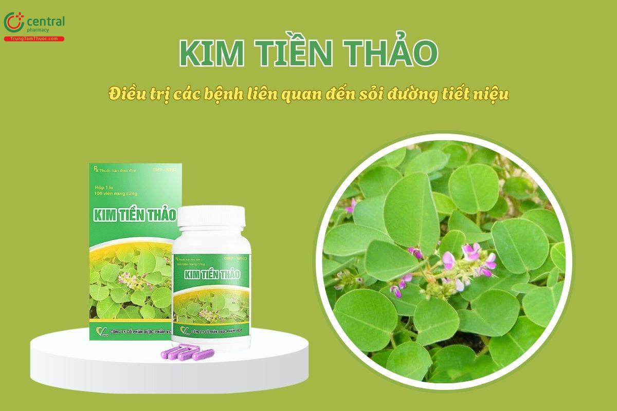 Thuốc Kim Tiền Thảo VCP điều trị các bệnh liên quan đến sỏi đường tiết niệu