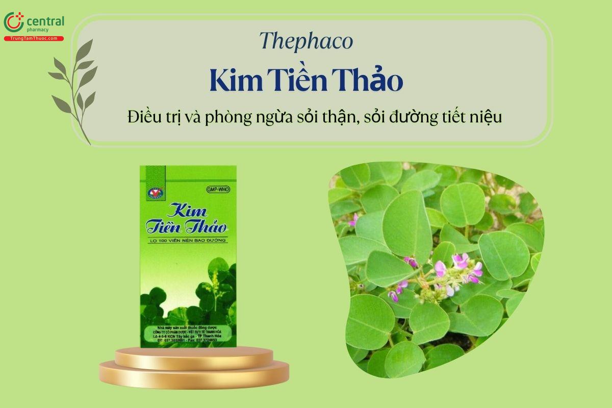 Thuốc Kim Tiền Thảo Thephaco giúp điều trị và phòng ngừa tình trạng sỏi thận, sỏi đường tiết niệu