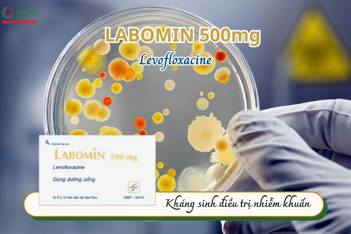 Thuốc Labomin 500mg điều trị các nhiễm khuẩn do vi khuẩn nhạy cảm với levofloxacin