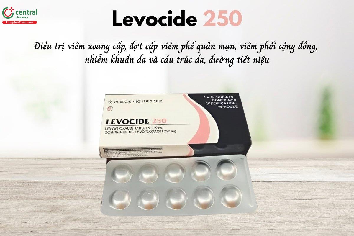 Thuốc Levocide 250 chứa Levofloxacin điều trị viêm xoang cấp, đợt cấp viêm phế quản mạn, viêm phổi cộng đồng, nhiễm khuẩn da và cấu trúc da, đường tiết niệu