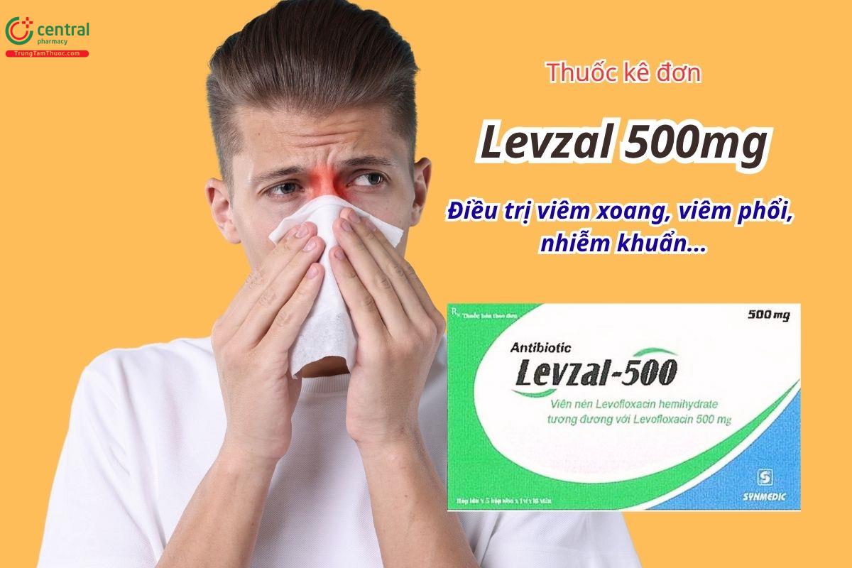 Thuốc Levzal 500mg - Điều trị viêm xoang, viêm phổi và các nhiễm khuẩn