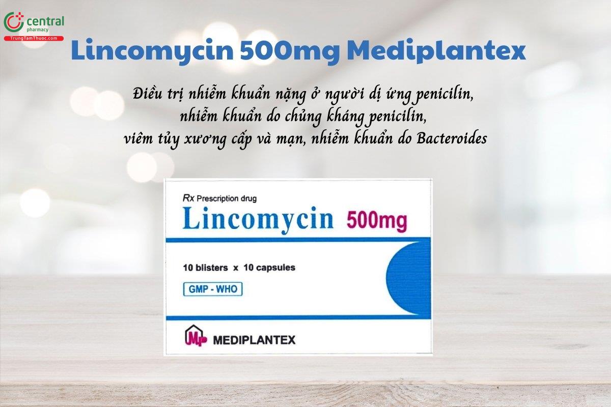 Thuốc Lincomycin 500mg Mediplantex điều trị nhiễm khuẩn nặng ở người dị ứng penicilin, nhiễm khuẩn do chủng kháng penicilin, viêm tủy xương, do Bacteroides