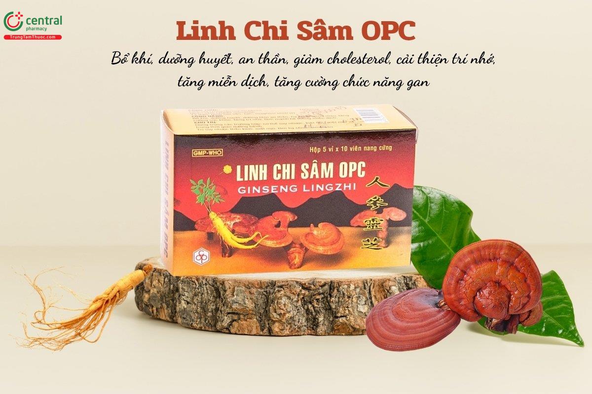 Thuốc Linh Chi Sâm OPC giúp bổ khí, dưỡng huyết, an thần, giảm cholesterol, cải thiện trí nhớ, tăng miễn dịch, tăng cường chức năng gan.