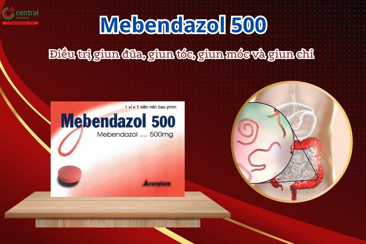 Thuốc Mebendazol 500mg Vacopharm điều trị giun đũa, giun tóc, giun móc và giun chỉ