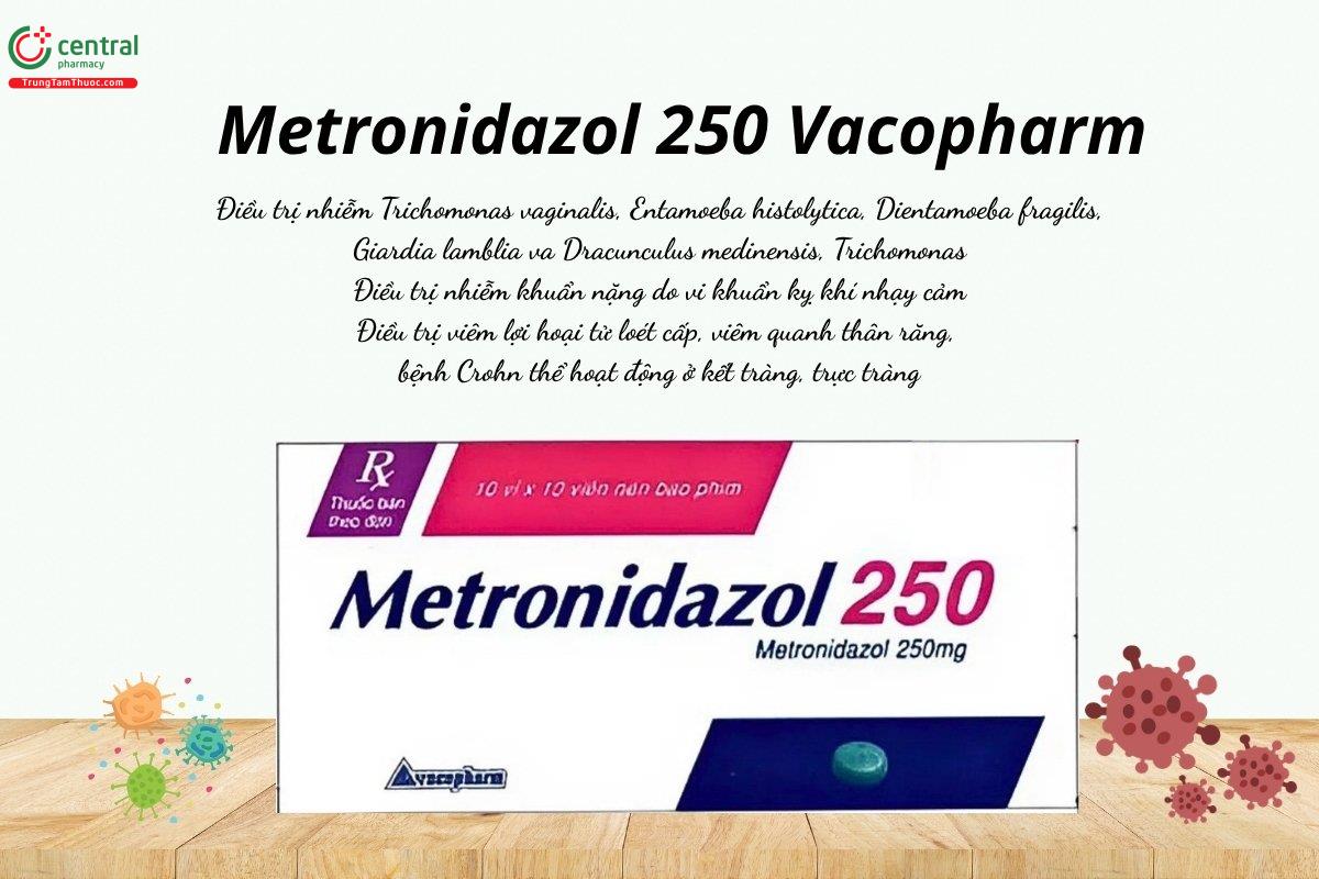 Thuốc Metronidazol 250 Vacopharm điều trị nhiễm Trichomonas vaginalis, Entamoeba histolytica, vi khuẩn kỵ khí, viêm lợi hoại tử loét cấp, viêm quanh thân răng…