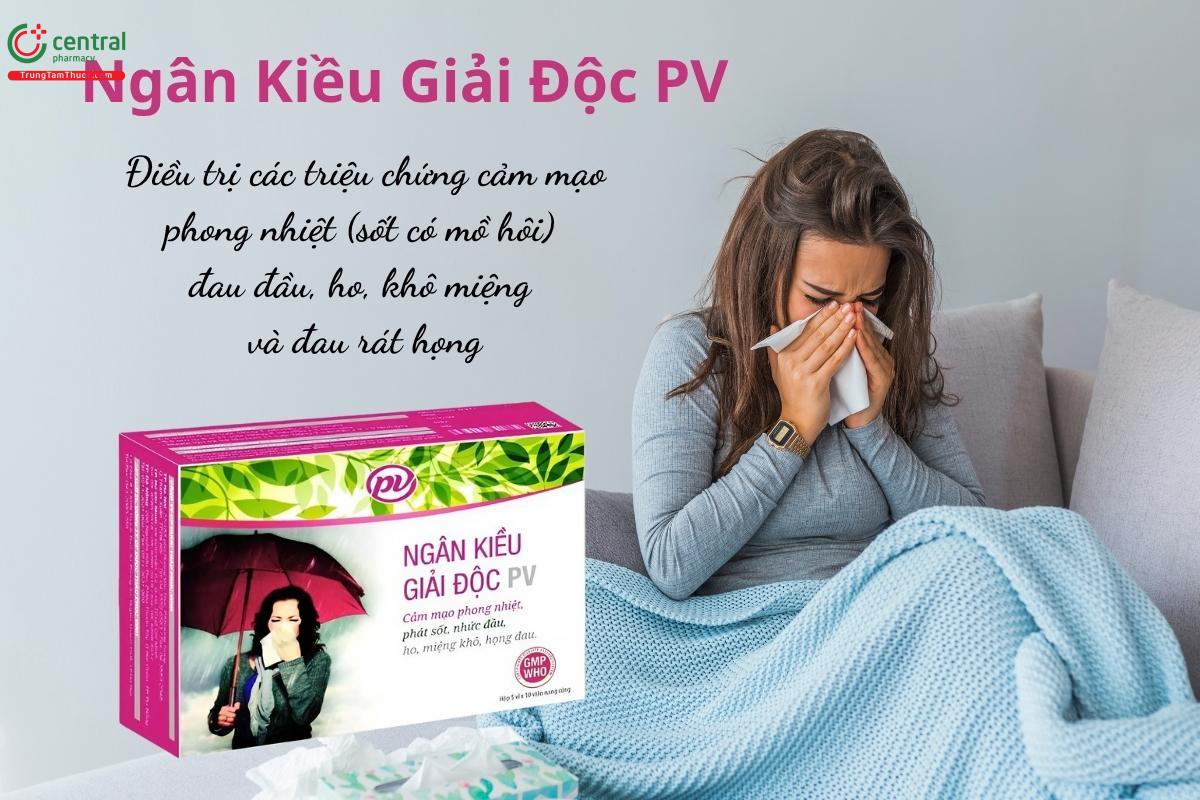Thuốc Ngân Kiều Giải Độc PV