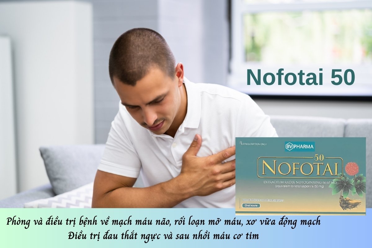  Thuốc Nofotai 50 giúp phòng và điều trị bệnh về mạch máu não, rối loạn mỡ máu, xơ vữa động mạch, điều trị đau thắt ngực và sau nhồi máu cơ tim 