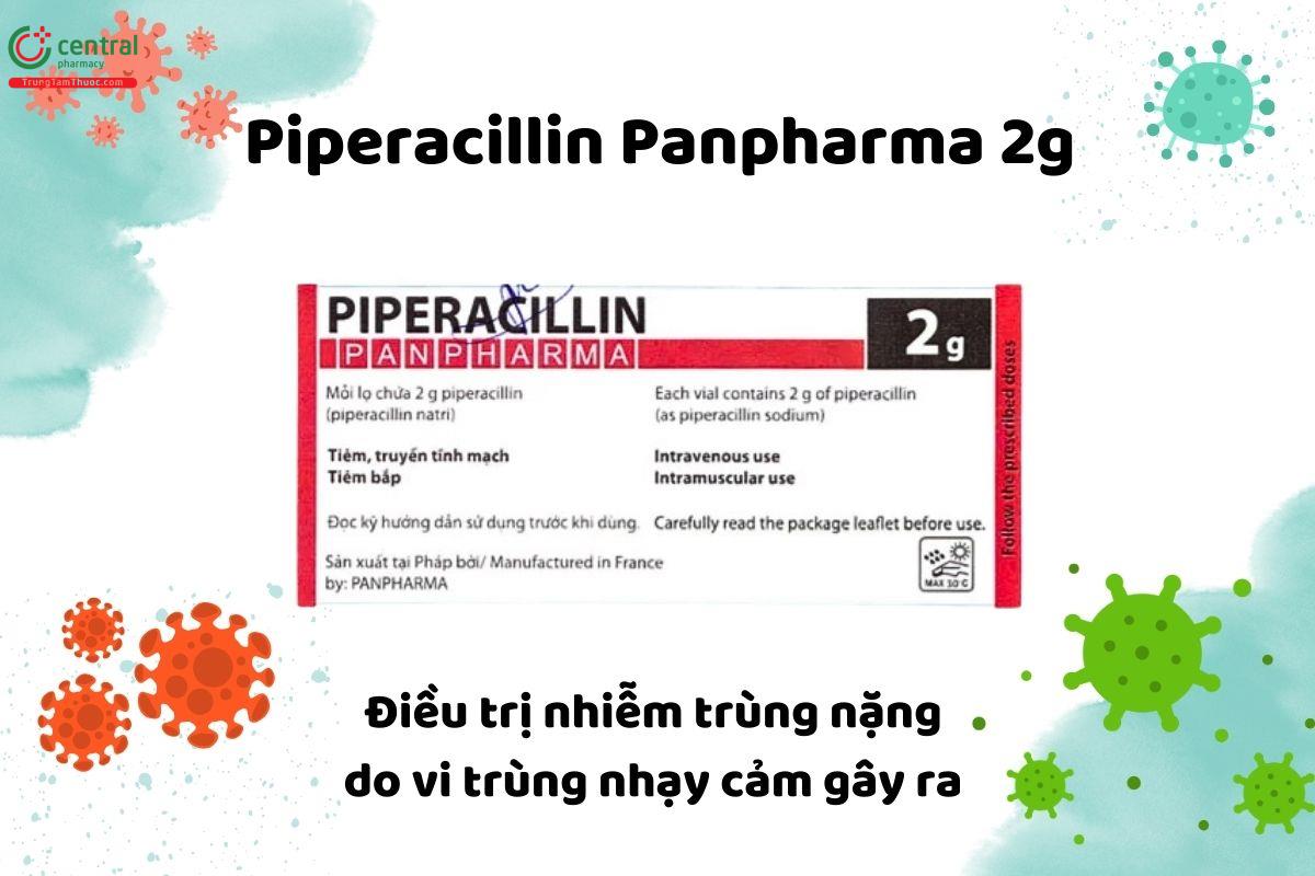 Thuốc Piperacillin Panpharma 2g 