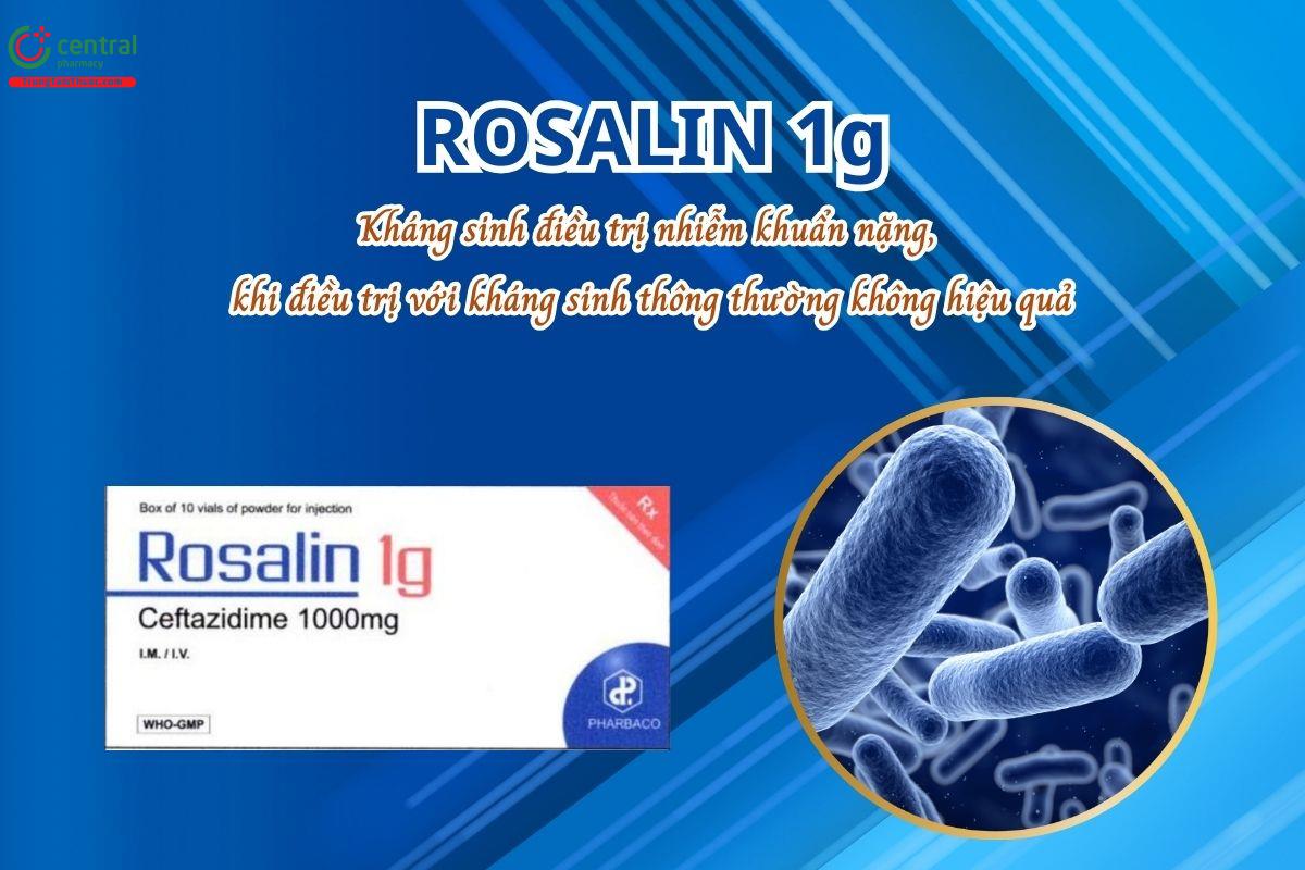 Thuốc Rosalin 1g (Ceftazidim) điều trị các nhiễm khuẩn nặng