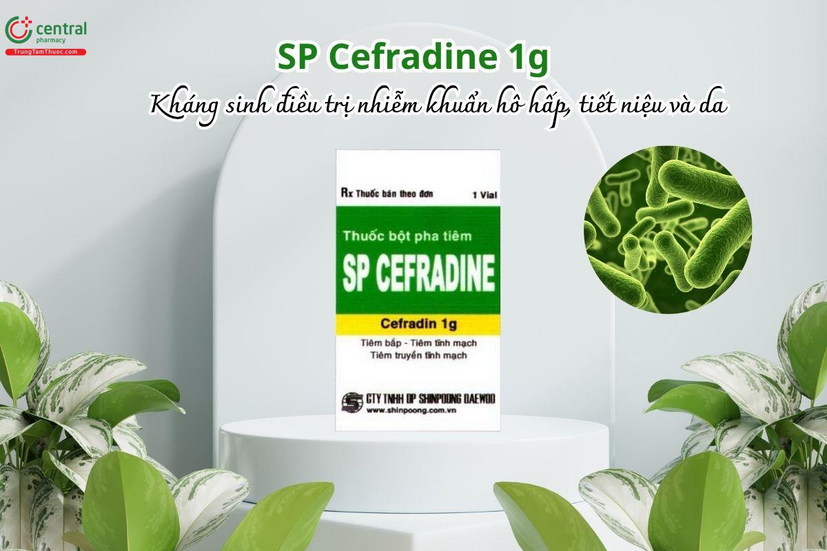 Thuốc SP Cefradine 1g - điều trị nhiễm khuẩn hô hấp, tiết niệu, da