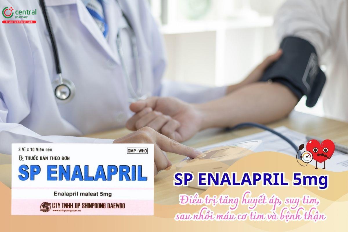 Thuốc SP Enalapril 5mg điều trị tăng huyết áp, suy tim và bệnh thận