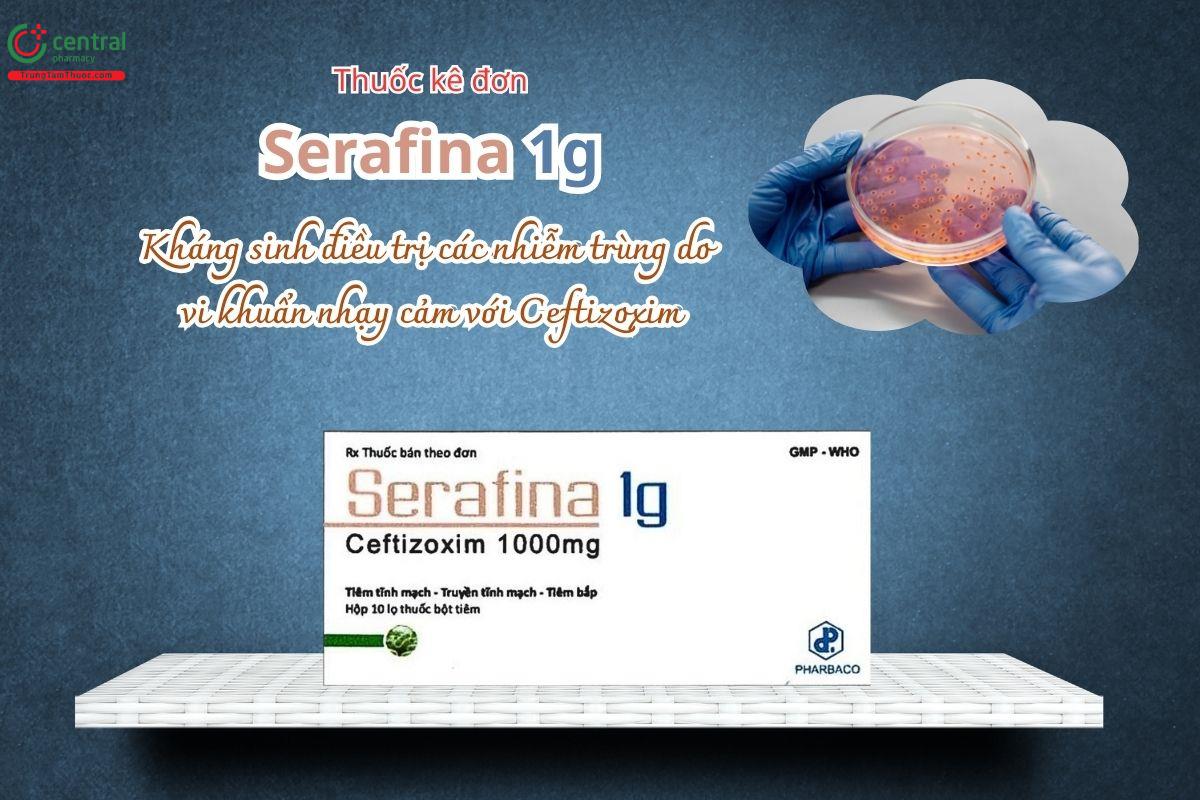 Thuốc Serafina 1g điều trị nhiễm khuẩn do vi khuẩn nhạy cảm với Ceftizoxim