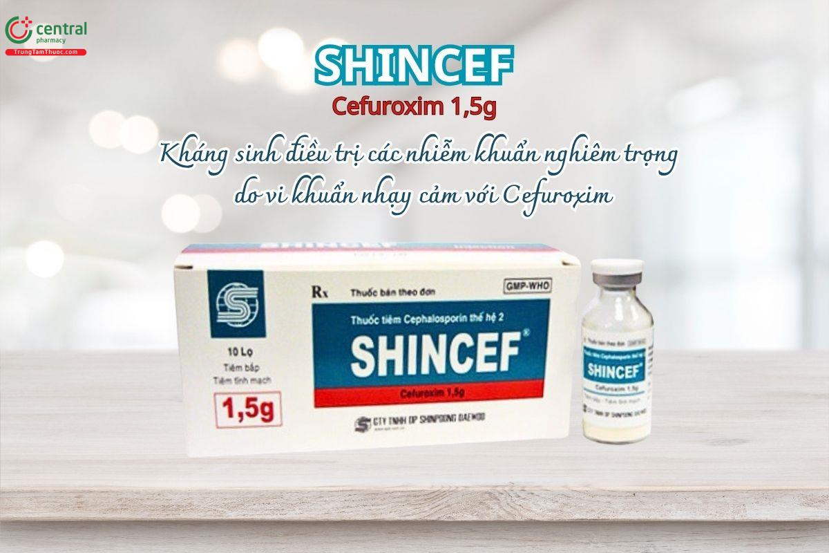 Thuốc Shincef 1.5g điều trị các nhiễm khuẩn nghiêm trọng do vi khuẩn nhạy cảm