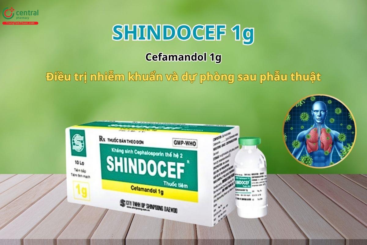 Thuốc Shindocef 1g - Điều trị nhiễm khuẩn và dự phòng sau phẫu thuật