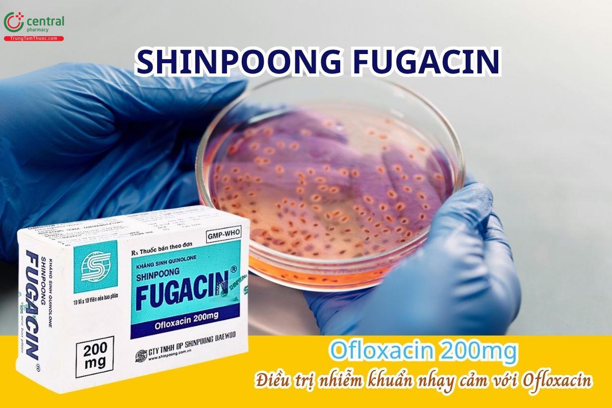 Thuốc Shinpoong Fugacin 200mg điều trị nhiễm khuẩn nhạy cảm với Ofloxacin