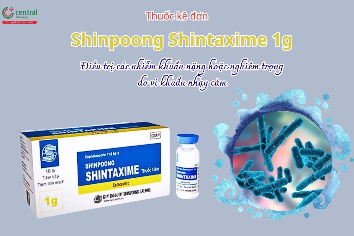Thuốc Shinpoong Shintaxime 1g điều trị các nhiễm khuẩn nặng hoặc nghiêm trọng do vi khuẩn nhạy cảm