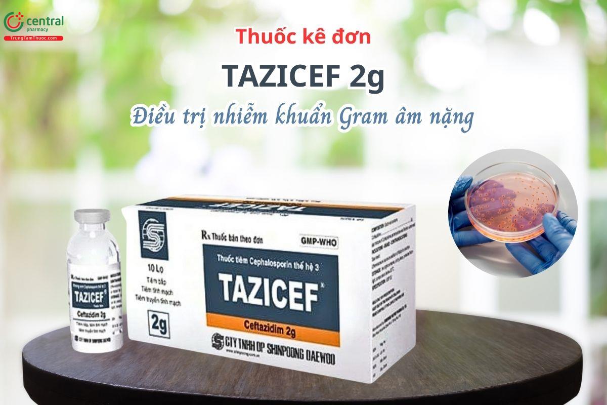 Thuốc Tazicef 2g - Điều trị các trường hợp nhiễm khuẩn Gram âm nặng