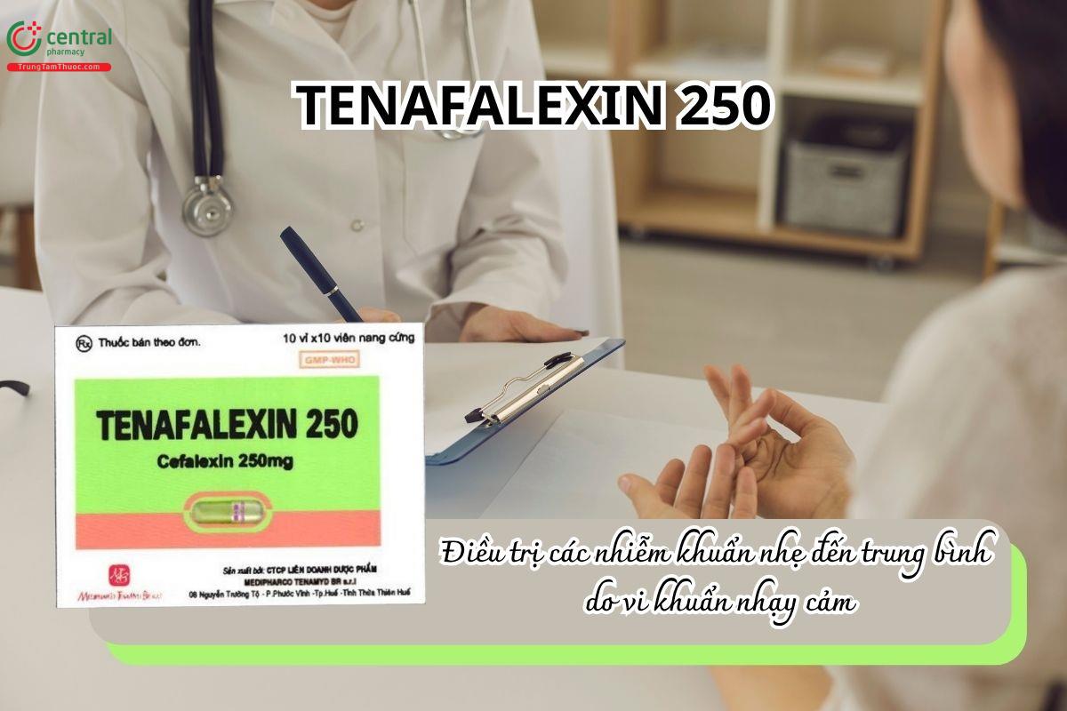 Thuốc Tenafalexin 250mg điều trị các nhiễm khuẩn nhẹ đến trung bình do vi khuẩn nhạy cảm