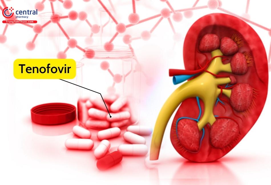 Tenofovir có thể gây độc tính trên thận ở những bệnh nhân có nguy cơ cao