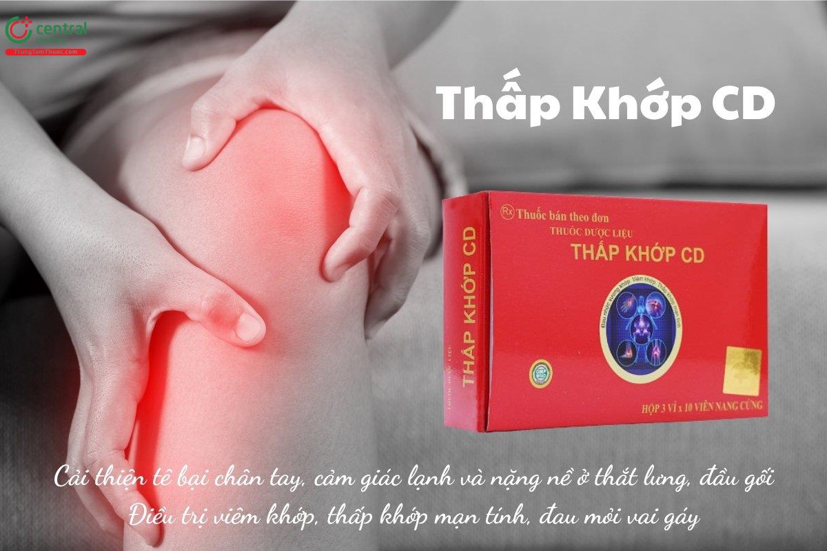 Thuốc Thấp Khớp CD điều trị viêm khớp, thấp khớp mạn tính, đau mỏi vai gáy