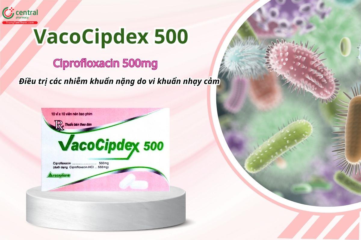 Thuốc Vacocipdex 500 (viên nén bao phim) điều trị các nhiễm khuẩn nặng do vi khuẩn nhạy cảm