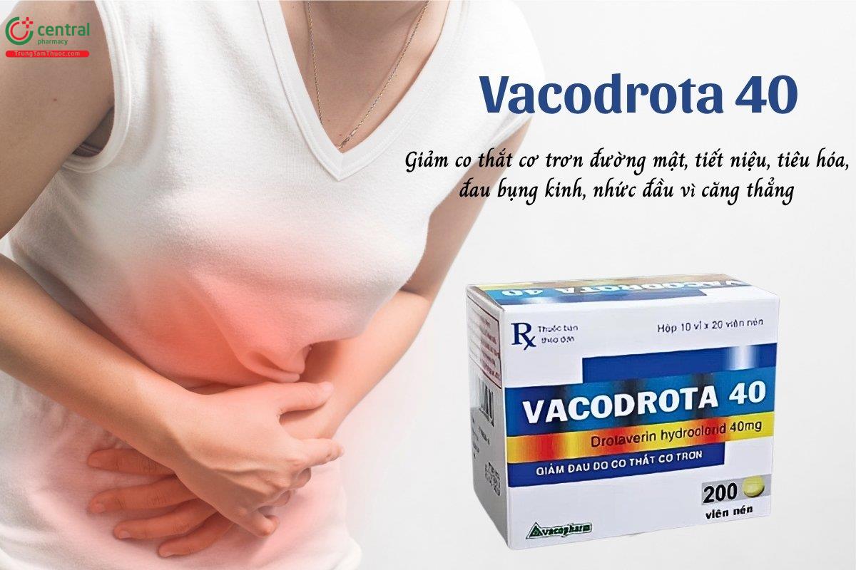 Thuốc Vacodrota 40