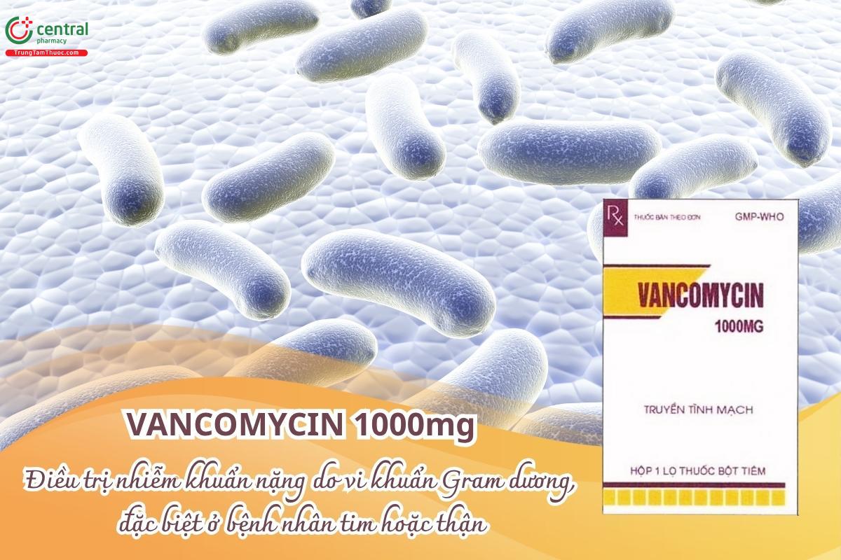 Thuốc Vancomycin 1g Pharbaco điều trị nhiễm khuẩn nặng do vi khuẩn Gram dương, đặc biệt ở bệnh nhân tim hoặc thận