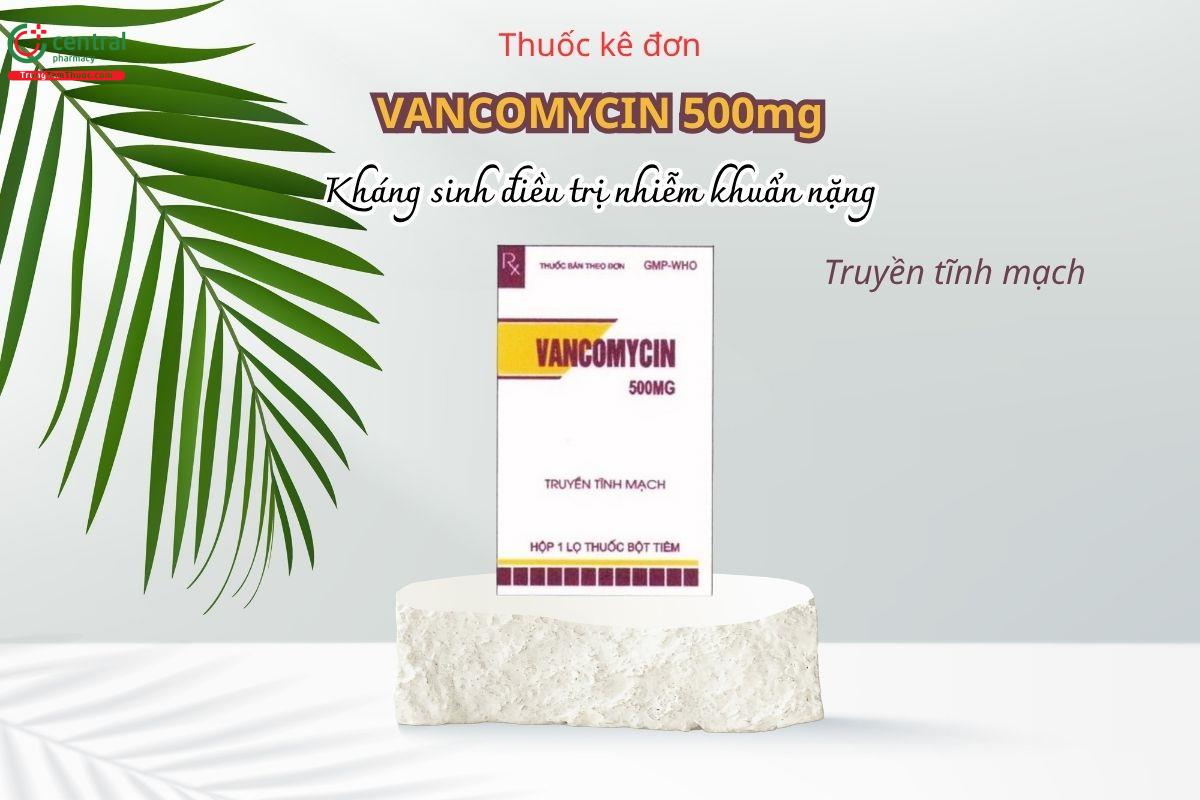 Thuốc Vancomycin 500mg Pharbaco - Kháng sinh điều trị nhiễm khuẩn nặng