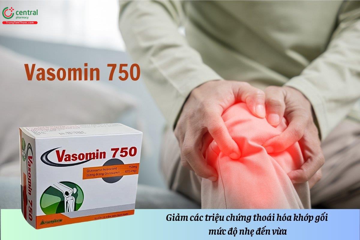 Thuốc Vasomin 750