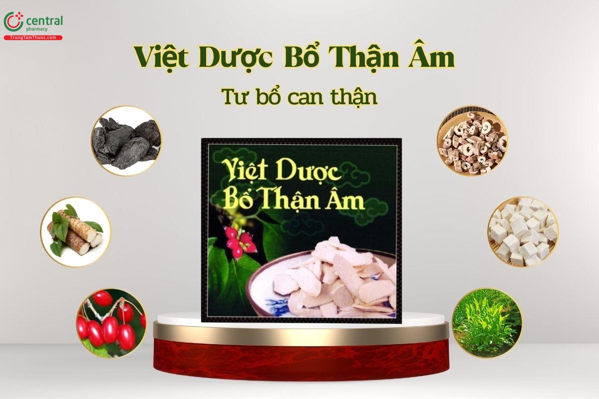 Thuốc Việt Dược Bổ Thận Âm có tác dụng tư bổ can thận