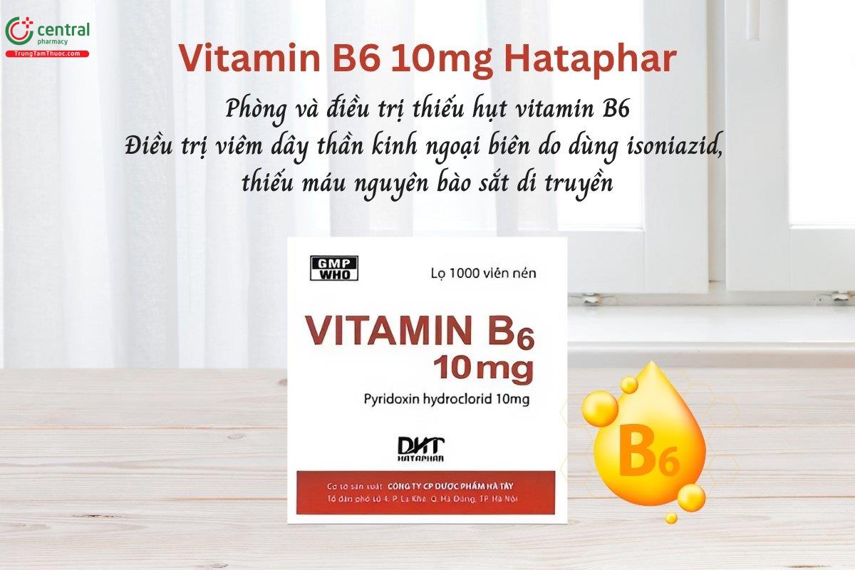 Thuốc Vitamin B6 10mg Hataphar giúp phòng và điều trị thiếu hụt vitamin B6, viêm dây thần kinh ngoại biên do dùng isoniazid, thiếu máu nguyên bào sắt di truyền