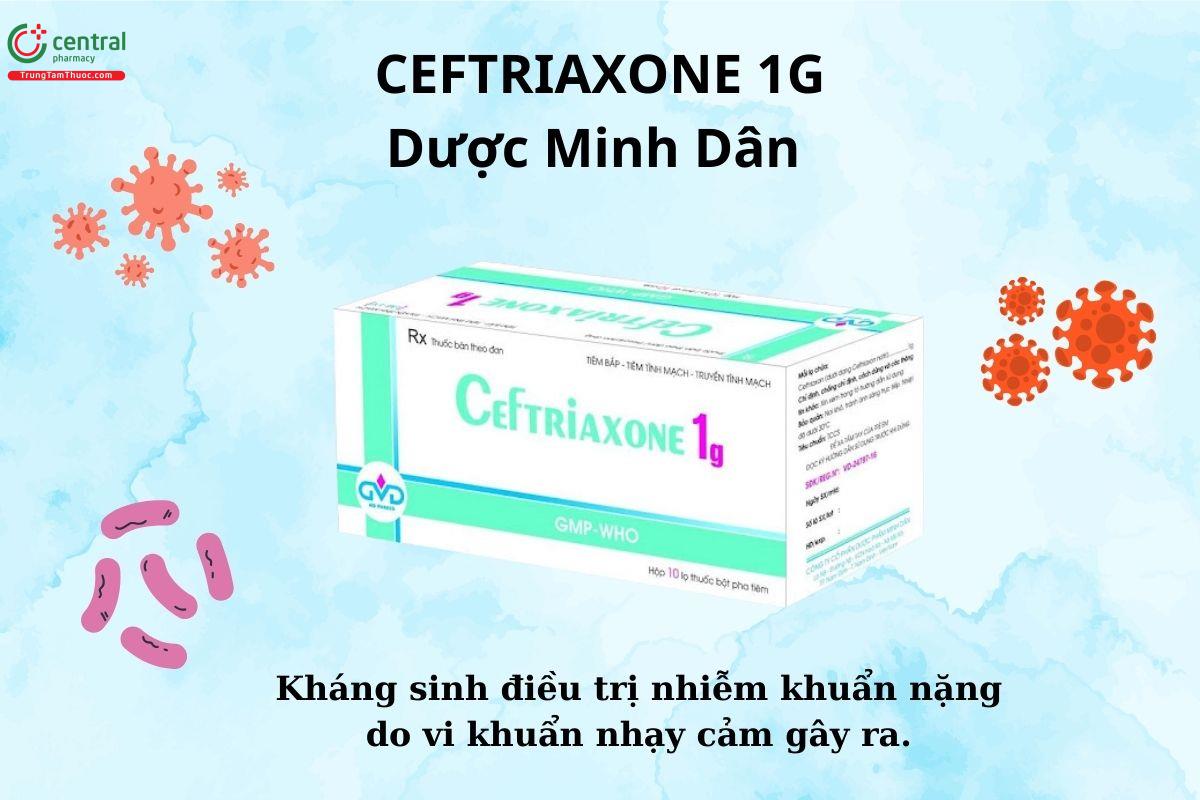 ​  Thuốc Ceftriaxone 1g Dược Minh Dân  ​